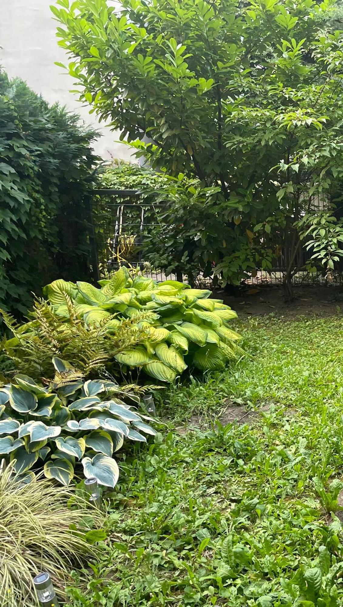 Apartment Mit Logia Und Kleinen Garten In Zentraler Lage 2 Wina Bagian luar foto
